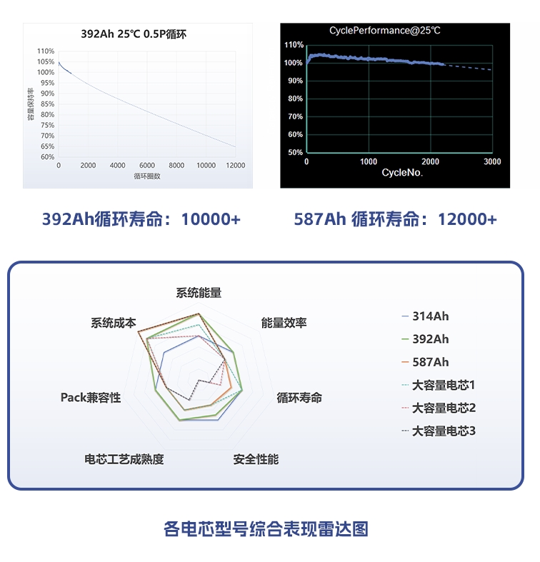 25052408.jpg